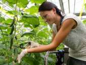 �������� ������ � �������. �������. - ����������� 2