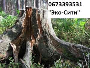 �������� ������ � �������; ��������� ������ ���������� - ����������� 1