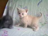 �������� ������ � ���������� ���� - ����������� 2