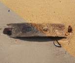 ������� � ����������: �������� ������ � ����������� ������.