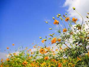 �������� ������ � ������������ ������ 20 ����� �� ���������� - ����������� 1