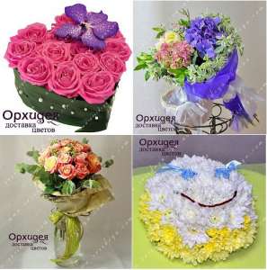 �������� ������ �� ����� - ����������� 1