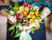 ������� � ����������: �������� ������ �� ������