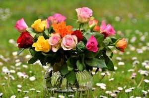 �������� ������ �� ������ �� ������ � �� ����� ���� - ����������� 1