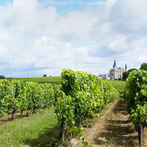 �������� ������ �� ������ ������������! - ����������� 1