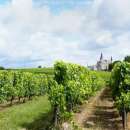 ������� � ����������: �������� ������ �� ������ ������������!