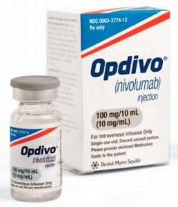 �������� ������ �� ������� ������������� - ����������� 1