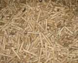 ������� � ����������: �������� ������ �� ��������� � ����� ���������� ������� NESTRO, RUF, P&K