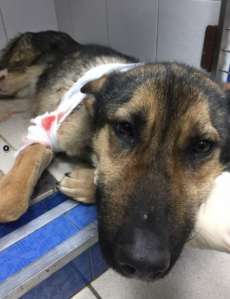 �������� ������. �� ��������� ���� - ����������� 1