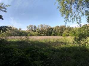 �������� ������ �� ���������� ������ 0,2060 �� � �. ������ - ����������� 1