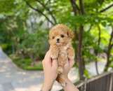 �������� ������ �� ����������� - ����������� 3