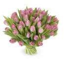 ������� � ����������: �������� ������ �� ������������, ������� � ������