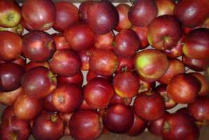 �������� ������ �� ������������� � ������� � �����. - ����������� 1