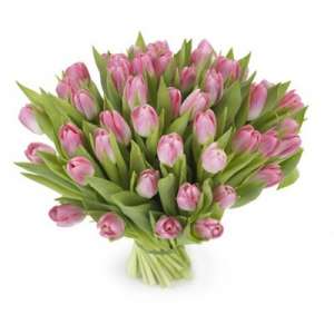 �������� ������ �� �����-���������� � ������ - ����������� 1