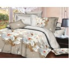 �������� ������ ���� - ����������� 3