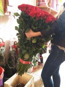 �������� ������ ���� - ����������� 1