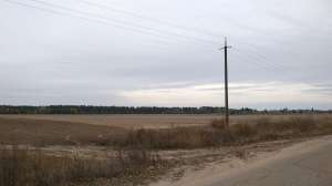 ��������. ������ ���� �������. 1,5 ��, 17 �� �� �������� ����. - ����������� 1