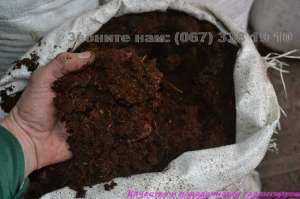 �������� ������ ���� �������� � ������ �������� ������� - ����������� 1