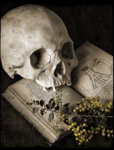 �������� ������ ����� - ����������� 1