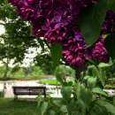 �������� ������ ����� ����. - ����������� 2