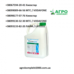 �������� ������ �����, ������� - ����������� 1