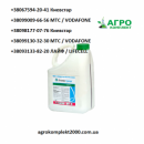 ������� � ����������: �������� ������ �����, �������