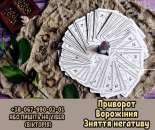 ������� � ����������: ��������. ������ �����. ������� ������.