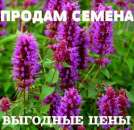 ������� � ����������: ��������! ������ ������ �� �������� ����!