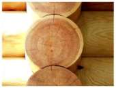 ��������, ������, ������, ���� ������� ���� - ����������� 3