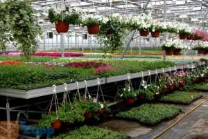 �������� ������, ������, ����� ������ � ��������� �������. ���� �� ����������. �.������� - ����������� 1