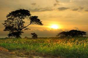 �������� ������ ������, ������ � ����� - ����������� 1