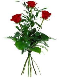 �������� ������ ������ ������� - ����������� 1