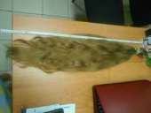 �������� ������. ������ ������� ������ ����� ���. - ����������� 2