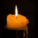 ��������. ������ ������� ��������. �����, ������� � ����������� - ������