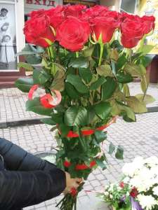 �������� ������ �������� - ����������� 1