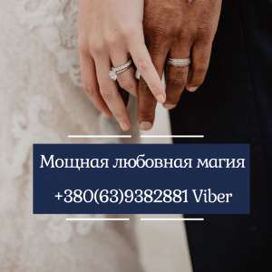 �������� ������. �������� �� ����. ���������� �� �����������. - ����������� 1