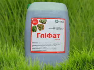 �������� ������ (�������� �������) ����. - ����������� 1