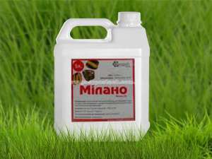 �������� ������ (�������� �������) ������ ���� - ����������� 1