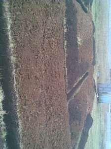 �������� ������, ��������, ������� ����������, �������� ��������� (�������) � ��. - ����������� 1