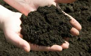 �������� ������ ��������� - ����������� 1