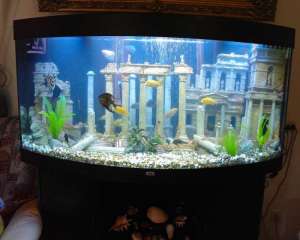 �������� ������ ��������� (���������������� ������������) - ����������� 1