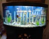 �������� ������ ��������� (���������������� ������������) - ����������� 1