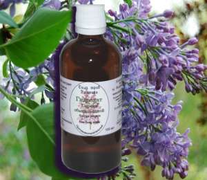 �������� ������ ������������ � ���������� ������� 100 �� - ����������� 1