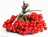 �������� ������ �������������. �� ������������ ��� (����)! - ����������� 3