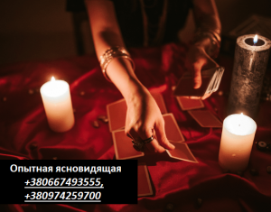 �������� ������ �����������-����������� �������. ������� ������������. - ����������� 1