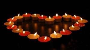 �������� �������. 100% ���������. �������� �� ���� - ����������� 1