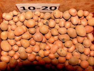 �������� ������� 10-20 - ����������� 1