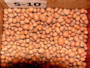 �������� ������� 5-10 - ����������� 1