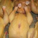 ������� � ����������: �������� �������