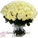 �������� �������. ���������, ����������� - ������